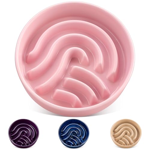 vancasso Slow Feeder Hundenapf, 3 Tassen Keramik Slow Feeding Futternapf für große Rassen, Puzzle Hund Futternapf für schnellen Esser, Rosa vancasso Slow Feeder Hundenapf, 3 Tassen Keramik Slow Feeding Futternapf für große Rassen, Puzzle Hund Futternapf für schnellen Esser, Rosa von vancasso