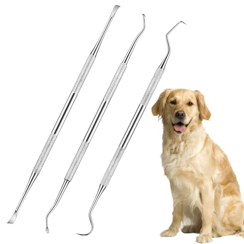 3pc zahnsteinentferner, zahnreiniger doppelkopf, zahnstein entferner für hunde,doppelkopf edelstahl zahnreinigungsset,zahnsteinentferner doppelseitig aus edelstahl,für zahnpflege für hunde und katzen 3pc zahnsteinentferner, zahnreiniger doppelkopf, zahnstein entferner für hunde,doppelkopf edelstahl zahnreinigungsset,zahnsteinentferner doppelseitig aus edelstahl,für zahnpflege für hunde und katzen von vcsjw