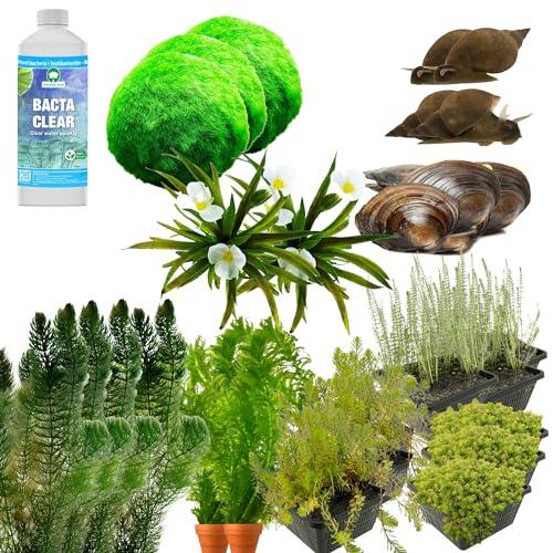 vdvelde.com - Anti Algen Teich Kit - Große - Für 3.000-5.000 L - Sauerstoffpflanzen + Extras - Platzierung: -1 bis -20 cm von vdvelde.com