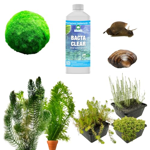 vdvelde.com - Anti Algen Teich Kit - M - Für 750-1.500 L - Sauerstoffpflanzen + Extras - Platzierung: -1 bis -20 cm von vdvelde.com