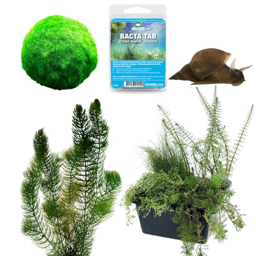 vdvelde.com - Anti Algen Teich Kit - S - Für 100-500 L - Sauerstoffpflanzen + Extras - Platzierung: -1 bis -20 cm von vdvelde.com