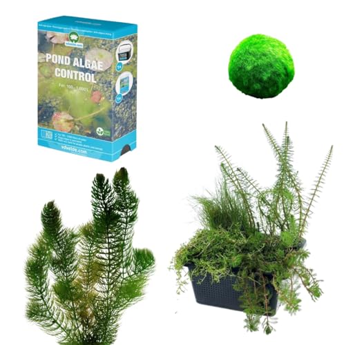 vdvelde.com - Algenbekämpfung und Vorbeugung im Teich - S - 100-400 L - 11 Pflanzen für 100-400 L - Sauerstoffpflanzen + Extras - Platzierung: -1 bis -20 cm von vdvelde.com