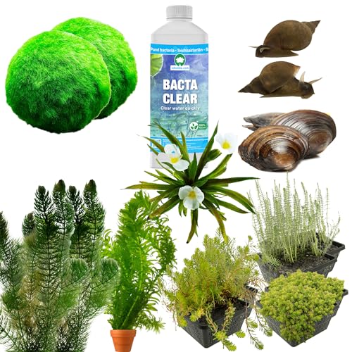 vdvelde.com - Anti Algen Teich Kit - L - Für 2.000-3.000 L - Sauerstoffpflanzen + Extras - Platzierung: -1 bis -20 cm von vdvelde.com