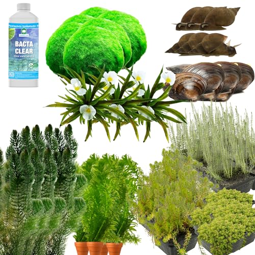 vdvelde.com - Anti Algen Teich Kit - XXL - Für 12.500-15.000 L - Sauerstoffpflanzen + Extras - Platzierung: -1 bis -20 cm von vdvelde.com