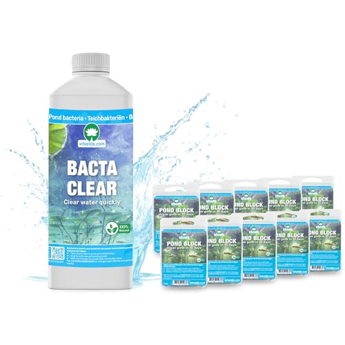 vdvelde.com - BACTA Clear + 10x Pond Block - - Für 10.000 L- Algenfrei in 10 Tagen- Fadenalgen- und Schwebealgenbekämpfung vdvelde.com - BACTA Clear + 10x Pond Block - - Für 10.000 L- Algenfrei in 10 Tagen- Fadenalgen- und Schwebealgenbekämpfung von vdvelde.com