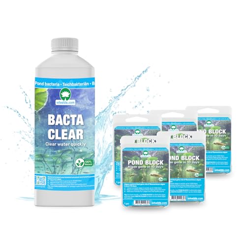 vdvelde.com - BACTA Clear + 5X Pond Block - - Für 5.000 L- Algenfrei in 10 Tagen- Fadenalgen- und Schwebealgenbekämpfung vdvelde.com - BACTA Clear + 5X Pond Block - - Für 5.000 L- Algenfrei in 10 Tagen- Fadenalgen- und Schwebealgenbekämpfung von vdvelde.com