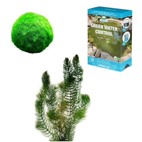 vdvelde.com - Teich Klar Machen und Halten Paket - S - 100-400 L - 7 Pflanzen für 100-400 L - Verhindert und bekämpft Schwebe- und Fadenalgen - Platzierung: lose im Wasser von vdvelde.com