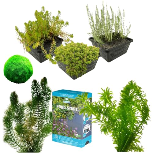 vdvelde.com - Teich Starten und Algen Verhindern Paket - M - 500-1.250 L - Für 500-1.250 L- Kontrolliert und verhindert Algen- Platzierung: -1 bis -80 cm von vdvelde.com