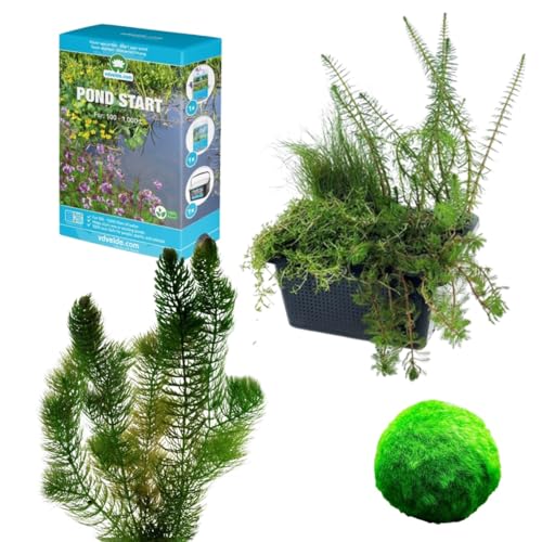 vdvelde.com - Teich Starten und Algen Verhindern Paket - S - 100-400 L - Für 100-400 L- Kontrolliert und verhindert Algen- Platzierung: -1 bis -80 cm von vdvelde.com