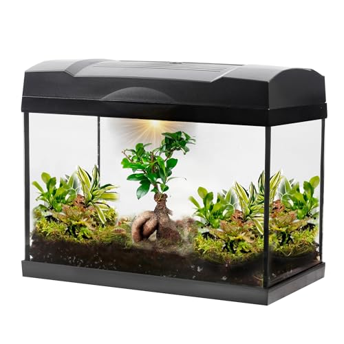vdvelde.com - Dschungel Bonsai Mega Terrarium - - 1 Bonsai + 5 Grünpflanzen- Abmessungen: 39x21x31 cm- Netzgebundene Beleuchtung von vdvelde.com