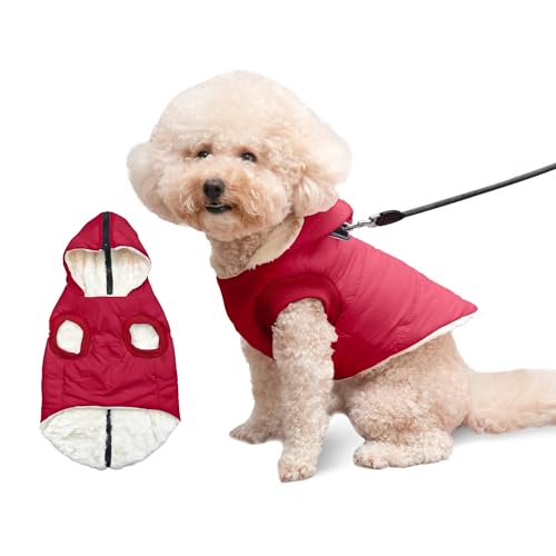 Vecomfy Hunde-Kapuzenpullover mit integriertem Geschirr, extra warm, für kleine Hunde im Winter, Welpenmantel mit Kapuze, Rot, Größe S Vecomfy Hunde-Kapuzenpullover mit integriertem Geschirr, extra warm, für kleine Hunde im Winter, Welpenmantel mit Kapuze, Rot, Größe S von vecomfy