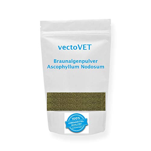 vectovet 250 g Seealgenmehl, Ascophyllum Nodosum, für alle Hunde geeignet, als Barfzusatz, für Verdauung, Schilddrüse, Fell und Haut. von vectovet