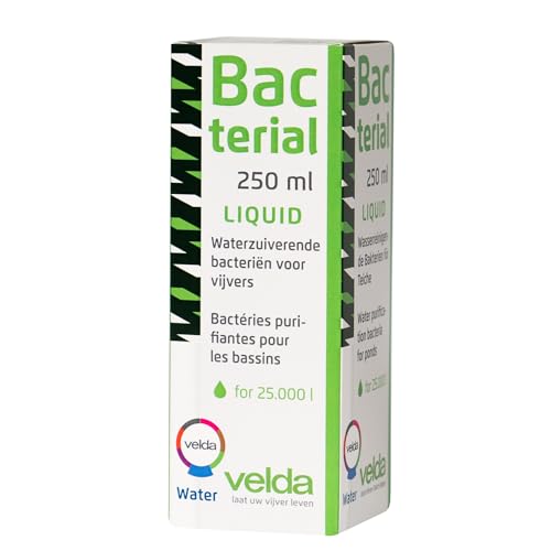 Bacterial Liquid 1000 ml von velda