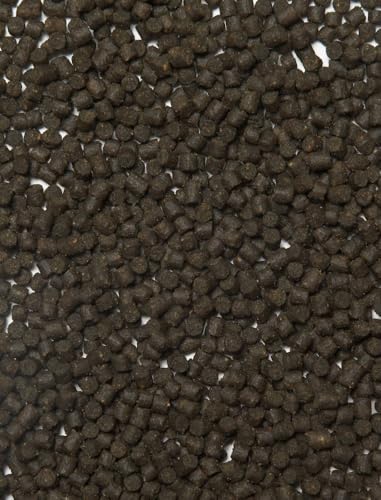 Sturgeon Fish Food 1000 ml von velda