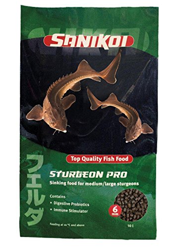 Velda SaniKoi Hauptfutter für Stör, Sinkend, 6 mm, Sturgeon Pro grün, 10 l von velda