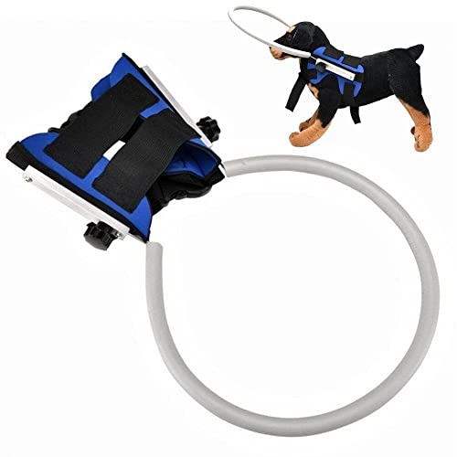 Blindes Hundegeschirr, Führungsgerät, Verstellbarer Blind-Haustier-Antikollisionsring, haustiersicheres Halo-Geschirr, Zubehör für Blinde Hunde Blindes Hundegeschirr, Führungsgerät, Verstellbarer Blind-Haustier-Antikollisionsring, haustiersicheres Halo-Geschirr, Zubehör für Blinde Hunde von Vepoty