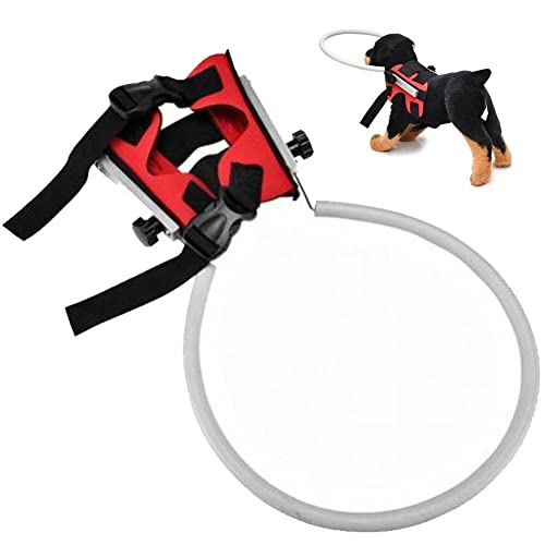 Blindes Hundegeschirr, Führungsgerät, Verstellbarer Blind-Haustier-Antikollisionsring, haustiersicheres Halo-Geschirr, Zubehör für Blinde Hunde Blindes Hundegeschirr, Führungsgerät, Verstellbarer Blind-Haustier-Antikollisionsring, haustiersicheres Halo-Geschirr, Zubehör für Blinde Hunde von Vepoty