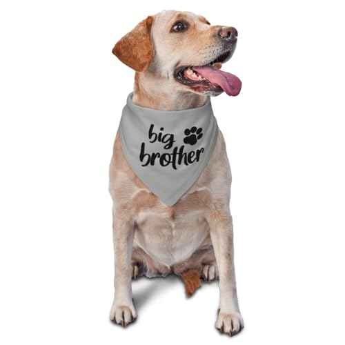 vercosee Big Brother Gender Reveal Baby Ankündigung Hundehalstuch, passendes Familien-Dreieckstuch für Hunde, Grau vercosee Big Brother Gender Reveal Baby Ankündigung Hundehalstuch, passendes Familien-Dreieckstuch für Hunde, Grau von vercosee