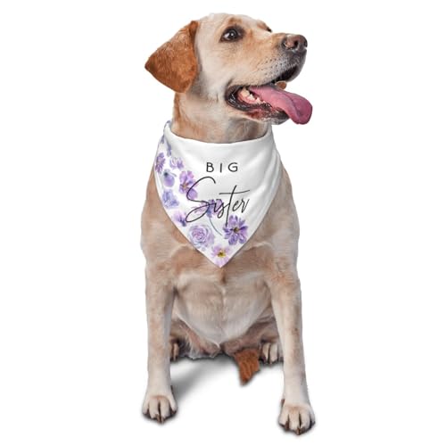 vercosee Hundehalstuch, Motiv: Big Sister, Enthüllung des Geschlechts, Baby-Ankündigung, Halstuch, Haustierzubehör für Hundeliebhaber, Violett von vercosee