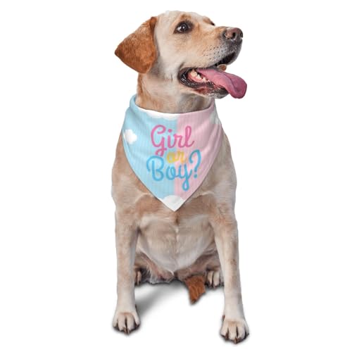 vercosee Hundehalstuch, Motiv: He Or She What Will It Be? Gender Reveal/Baby Ankündigung, Haustier-Halstuch für Haustiere, Alltag, Foto-Requisite, Partyzubehör (Jungen- oder Mädchenwolken) von vercosee