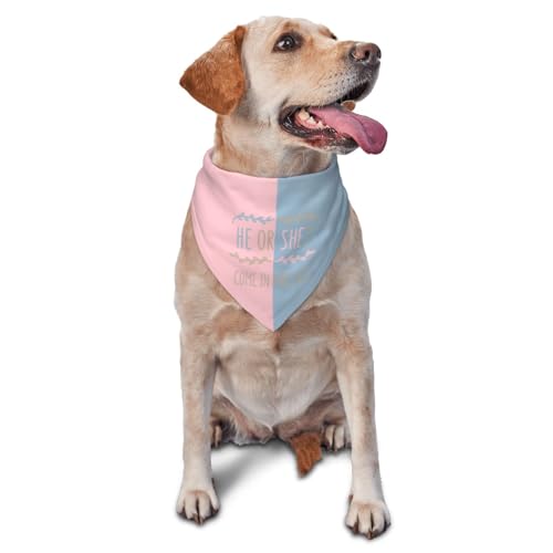 vercosee Hundehalstuch, Motiv: He Or She What Will It Be? Gender Reveal/Baby Ankündigung, Haustier-Halstuch für Haustiere, Alltag, Foto-Requisite, Partyzubehör (helle Farbe) von vercosee