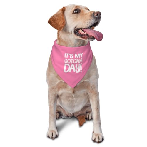 vercosee It's My Gotcha Day! Adoption Day, Haustier-Halstuch für Hunde, Haustier-Halstuch für den täglichen Gebrauch, Foto-Requisite, Partyzubehör, Geschenk für Haustier-Hundeliebhaber (Rosa) von vercosee