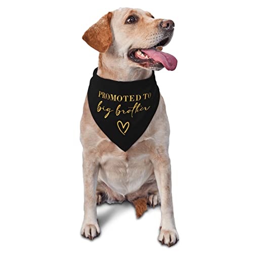 vercosee Promoted to Big Brother Hundehalstuch, wendbar, Foto-Requisiten, Geschenk für Hundeliebhaber, Goldfarben von vercosee
