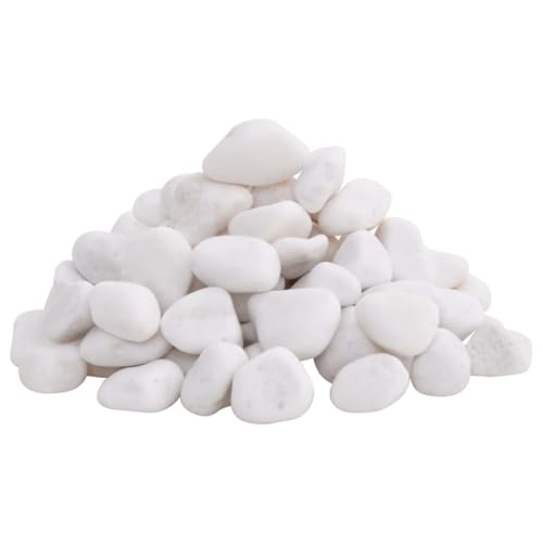 vidaXL Polierte Kiesel, Kieselsteine mit guter Drainage, Flusskiesel Zierkies für Aquarium Garten Dekoration, Dekosteine Gartenkies Glanzkies, Weiß 10 kg 2-5cm von vidaXL