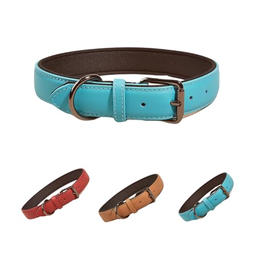 Hundehalsband, echtes Leder, Hundehalsband für mittelgroße und große Hunde, gepolstert und bequem (Blau, L-Breite 2,5 cm) von vilichi