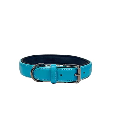 Hundehalsband, echtes Leder, Hundehalsband für mittelgroße und große Hunde, gepolstert und bequem (Blau, XL-Breite 3 cm) von vilichi