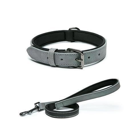 Reflektierendes, leuchtendes Hundehalsband und Leine, Set aus leuchtendem PU-Leder, wasserdichter Komfort, galvanisierte Schnalle, 1,1 m lange Leine (Grau, Größe M, 2 cm) von vilichi