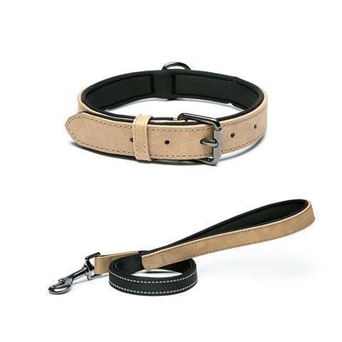 Reflektierendes, leuchtendes Hundehalsband und Leine, Set aus leuchtendem PU-Leder, wasserdichter Komfort, galvanisierte Schnalle, 1,1 m lange Leine (Khaki, M-Halsband, Breite 2 cm) von vilichi