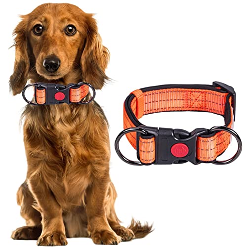 vincente Hundehalsbänder,Reflektierendes Hundehalsband mit Schnalle | Robuste Hundehalsbänder aus Nylon für kleine und mittelgroße Hunde von vincente