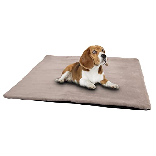 vitazoo Thermo Hundedecke & Katzendecke - 60 x 45 cm Klein - Katzen und Hundematte zum Mitnehmen für Unterwegs oder Outdoor - rutschfest, Waschbar, Faltbar und Flauschig - Grau vitazoo Thermo Hundedecke & Katzendecke - 60 x 45 cm Klein - Katzen und Hundematte zum Mitnehmen für Unterwegs oder Outdoor - rutschfest, Waschbar, Faltbar und Flauschig - Grau von vitazoo