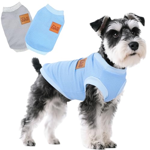 Hunde-Shirt, Weste, Hundekleidung für kleine Hunde, Sommer-Waffelmuster, weich, ärmellos, leicht, mittelgroß, Hunde-Outfit, Katzenkleidung (Blau + Grau, Größe XXS) von viunimo