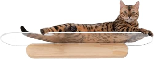 Kratzbaum für große Katzen, Acrylrahmen für Katzen, Wand-Sprungplattform für Katzen, Kletterspielzeug, Katzensicht Kratzbaum für große Katzen, Acrylrahmen für Katzen, Wand-Sprungplattform für Katzen, Kletterspielzeug, Katzensicht von vkeid