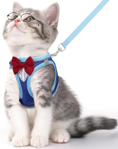 Katzengeschirr mit Leine Softgeschirr für Katze Brustgeschirr Cat Harness Katzengarnitur Ausbruchsicher Verstellbar Katzenweste (Blau., XS) von vobobe