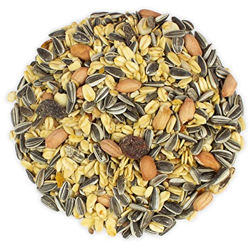 vogeltreff24 Streufutter Bunte Mischung - Futtermischung für Wildvögel, 20 kg vogeltreff24 Streufutter Bunte Mischung - Futtermischung für Wildvögel, 20 kg von vogeltreff24