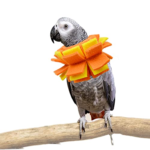 Halsband für afrikanische graue Papageien, Federn, Zupfen, Vogel, Anti-Biss-Halsband von vomvomp