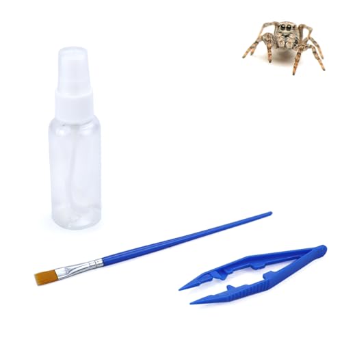 Springspinne Starter Kit inklusive Sprühflasche Pinzette Weicher Malpinsel für Spoods Springspinne Gehege Zubehör Springspinne Pflegeset von vomvomp