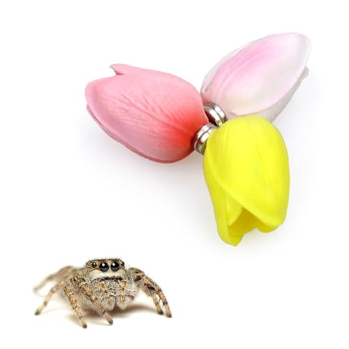 Tulpenspinnenversteck mit Magneten für Spoods, Haustierspinne, Springspinne, Versteck, Springspinne, Gehege, Zubehör, 3 Stück Tulpenspinnenversteck mit Magneten für Spoods, Haustierspinne, Springspinne, Versteck, Springspinne, Gehege, Zubehör, 3 Stück von vomvomp