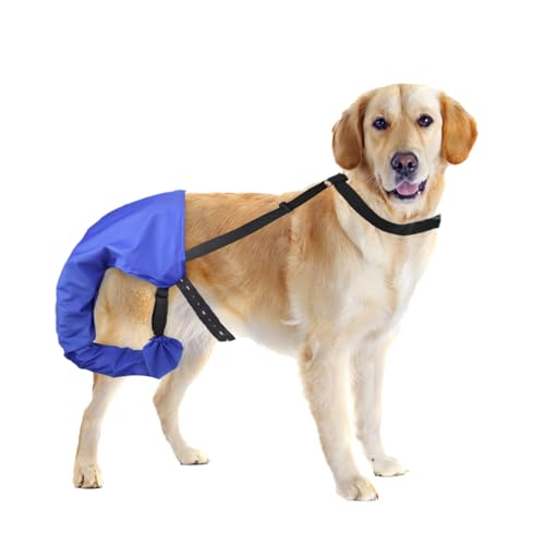 vomvomp Schwanzschutz für Hunde, Schwanzschutz, mit Klettverschluss, für Happy Tail Syndrom, Happy Tail Solution, blau von vomvomp