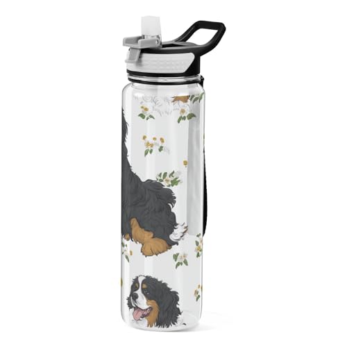 907.2 g Cartoon Berner Sennenhund Wasserflaschen Tritan Non-BPA ungiftig Flasche mit Strohhalm-Deckel für Sport 907.2 g Cartoon Berner Sennenhund Wasserflaschen Tritan Non-BPA ungiftig Flasche mit Strohhalm-Deckel für Sport von voucong