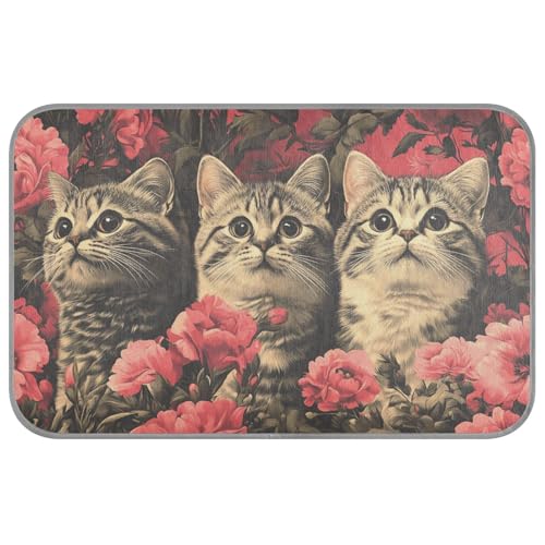 Art Scottish Fold Cats Pink Summer Outdoor-Katzenmatte, selbstkühlend, 96,5 x 58,4 cm, Kühlmatte Gel für Kaninchen, Reisezubehör, Tapete Enfriador Para Perros M von voucong