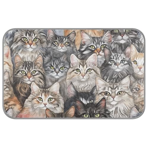 Cartoon Maine Cats Katzenbett, selbstkühlend, 96,5 x 58,4 cm, für den Außenbereich, für Haustiere, Innen, einzigartig, Cama Fria Para Perro, M Cartoon Maine Cats Katzenbett, selbstkühlend, 96,5 x 58,4 cm, für den Außenbereich, für Haustiere, Innen, einzigartig, Cama Fria Para Perro, M von voucong
