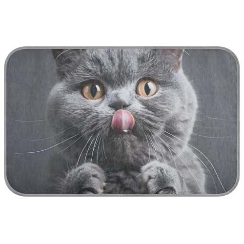 Graue englische Kurzhaar-Katzen-Sommer-Pads für Hunde, selbstkühlend, 96,5 x 58,4 cm, kühlende Decken für Schwein, gemütliches Schlafen, faltbar, Camas Frias Para Perros M Graue englische Kurzhaar-Katzen-Sommer-Pads für Hunde, selbstkühlend, 96,5 x 58,4 cm, kühlende Decken für Schwein, gemütliches Schlafen, faltbar, Camas Frias Para Perros M von voucong