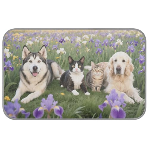 Kühlmatte für Katzen, selbstkühlend, 96,5 x 58,4 cm, Bett für draußen, für Kaninchen, Outdoor-Essentials, Camas Frias Para Perros M Kühlmatte für Katzen, selbstkühlend, 96,5 x 58,4 cm, Bett für draußen, für Kaninchen, Outdoor-Essentials, Camas Frias Para Perros M von voucong