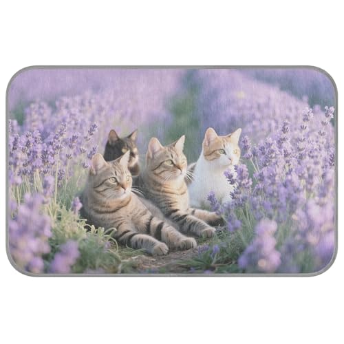 Sommer-Katzenbett für Outdoor-Katzen, selbstkühlend, 96,5 x 58,4 cm, kühlende Decken für Welpen, zum Schlafen, niedlich, Esterilla Refrescante Para Perros M Sommer-Katzenbett für Outdoor-Katzen, selbstkühlend, 96,5 x 58,4 cm, kühlende Decken für Welpen, zum Schlafen, niedlich, Esterilla Refrescante Para Perros M von voucong