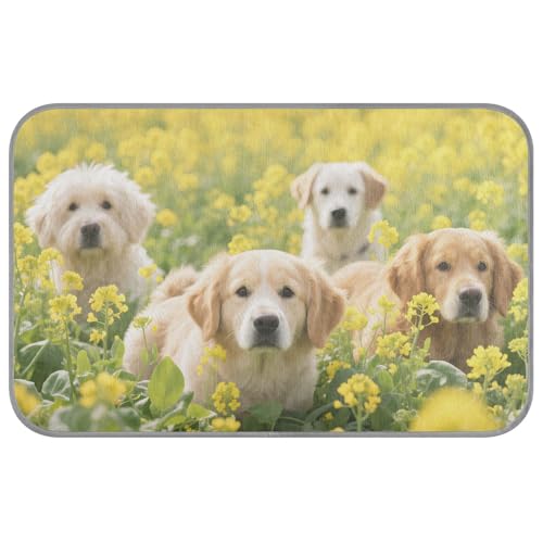Sommermatten für Hunde, selbstkühlend, 96,5 x 58,4 cm, Kühlmatte für Haustiere, Reisezubehör, Tapete Frio Para, Perros, M Sommermatten für Hunde, selbstkühlend, 96,5 x 58,4 cm, Kühlmatte für Haustiere, Reisezubehör, Tapete Frio Para, Perros, M von voucong