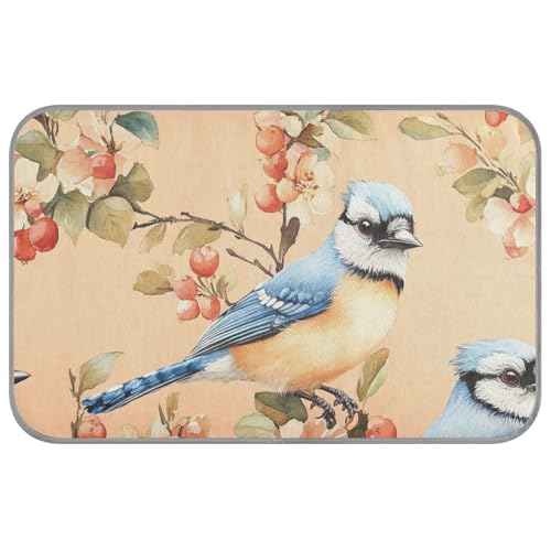 Sweet Blue Jay Birds Sommer-Kühlmatte für Hunde für draußen, selbstkühlend, 96,5 x 58,4 cm, Bett für draußen, für Kätzchen, Innenbereich, einzigartige Manta-Auffrischung, Para Perro, M Sweet Blue Jay Birds Sommer-Kühlmatte für Hunde für draußen, selbstkühlend, 96,5 x 58,4 cm, Bett für draußen, für Kätzchen, Innenbereich, einzigartige Manta-Auffrischung, Para Perro, M von voucong